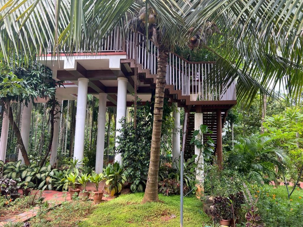 Serenity Villa And Treehouse Palakkad Zewnętrze zdjęcie