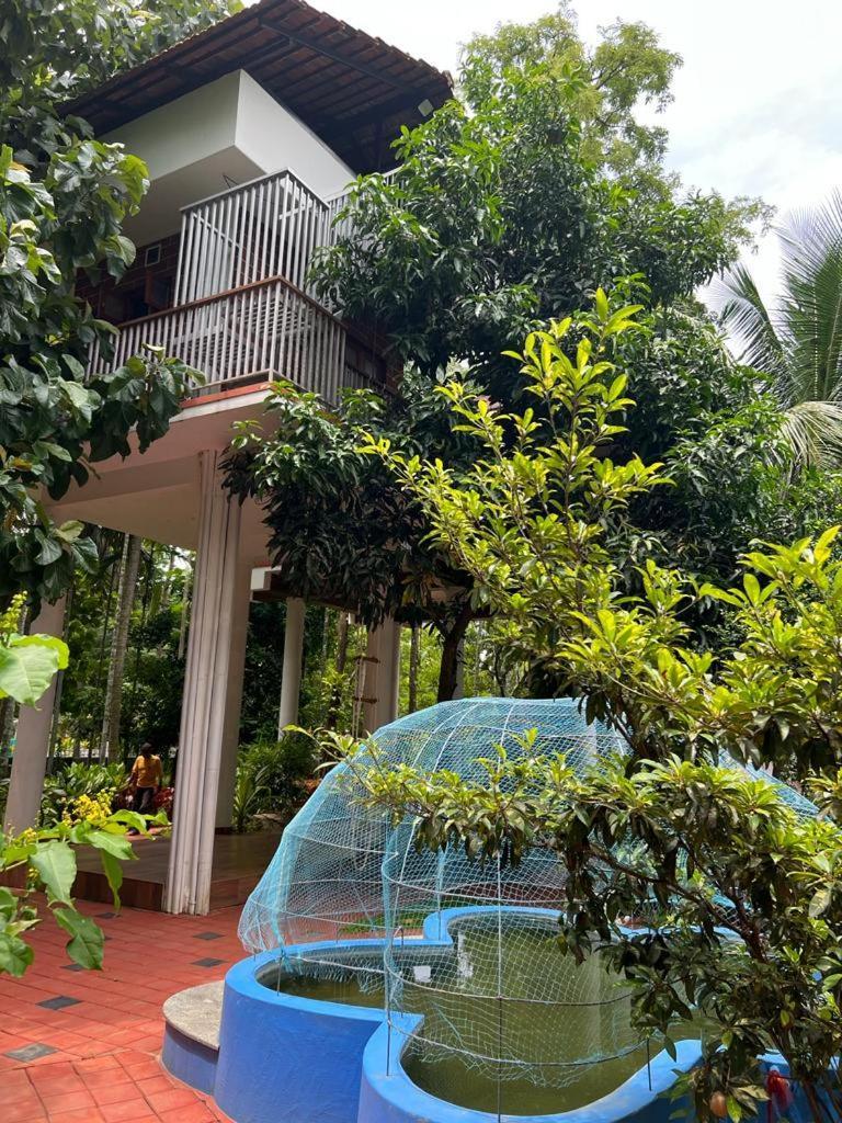 Serenity Villa And Treehouse Palakkad Zewnętrze zdjęcie